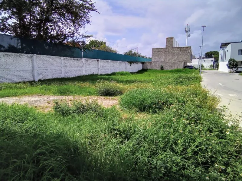 Foto 3 de Terreno en Venta en el Coto Cuarta 500 de Jardines de Nuevo México, Zapopan