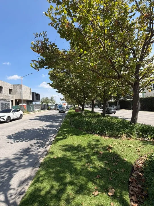 Foto 5 de Local comercial en renta en Solares