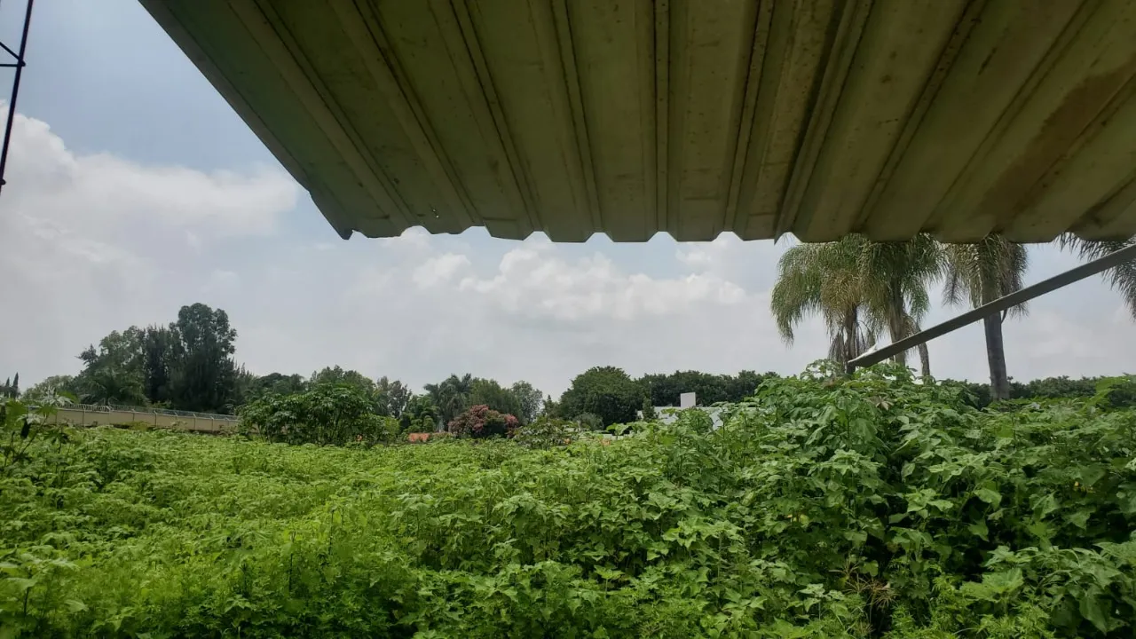 Foto 7 de Terreno en venta en Avenida Guadalupe, LA MOJONERA , ZAPOPAN