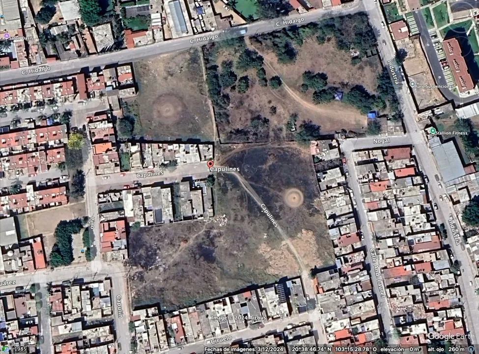 Foto 4 de TERRENO EN VENTA  EN TONALA