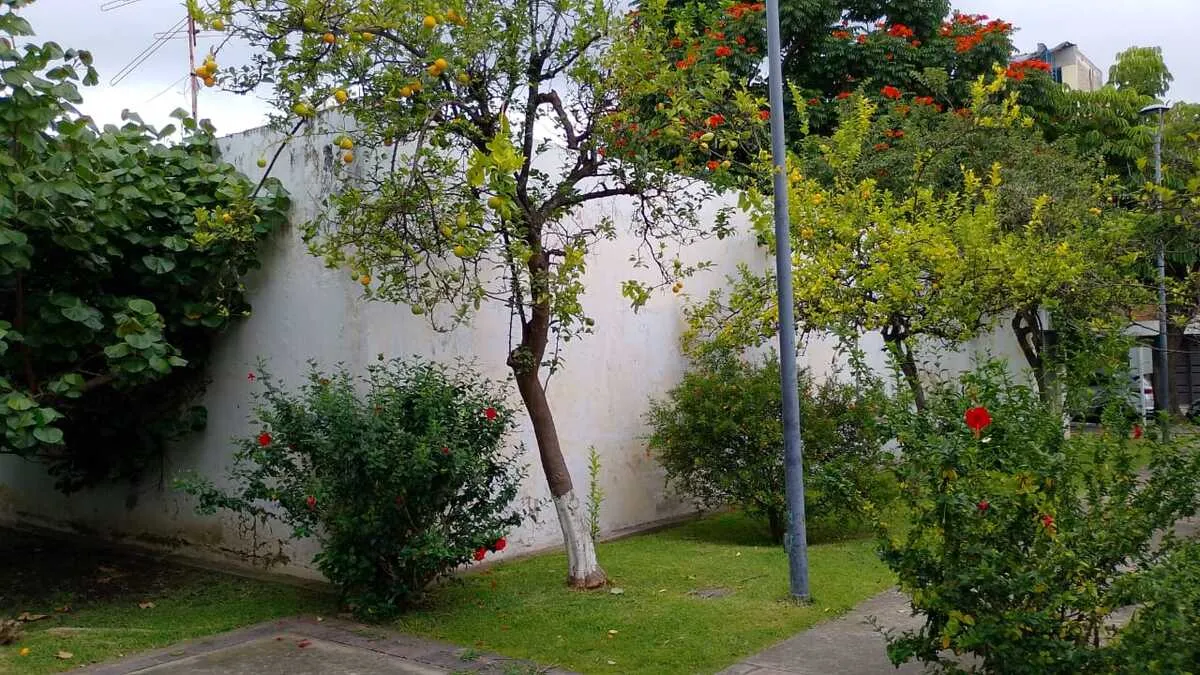 Foto 5 de TERRENO VENTA CIRCUNVALACION VALLARTA CERCA RUBEN DARIO