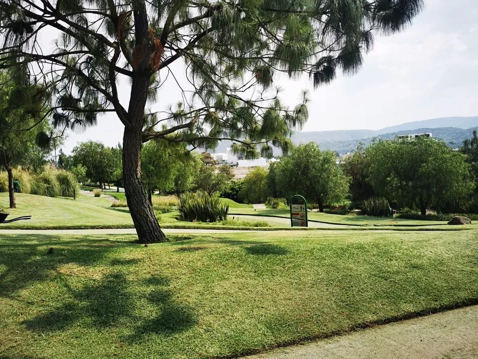 Foto 9 de Terreno en venta en Los Sueños Residencial, Zona El Bajío
