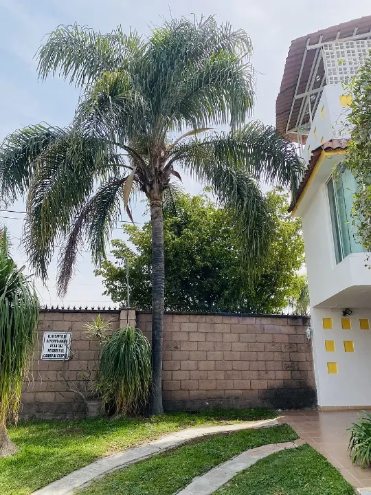 Foto 2 de Casa en venta en Condominio iberica, San Sebastianito, San Pedro Tlaquepaque
