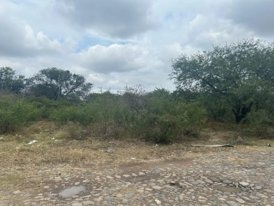 Foto 3 de Terreno en venta en Calzada de las Amapolas, Jardines de la Calera, Tlajomulco de Zúñiga