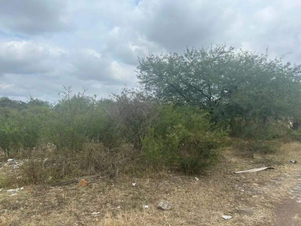 Foto 4 de Terreno en venta en Calzada de las Amapolas, Jardines de la Calera, Tlajomulco de Zúñiga
