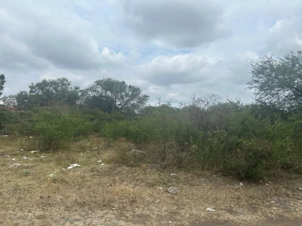 Foto 5 de Terreno en venta en Calzada de las Amapolas, Jardines de la Calera, Tlajomulco de Zúñiga