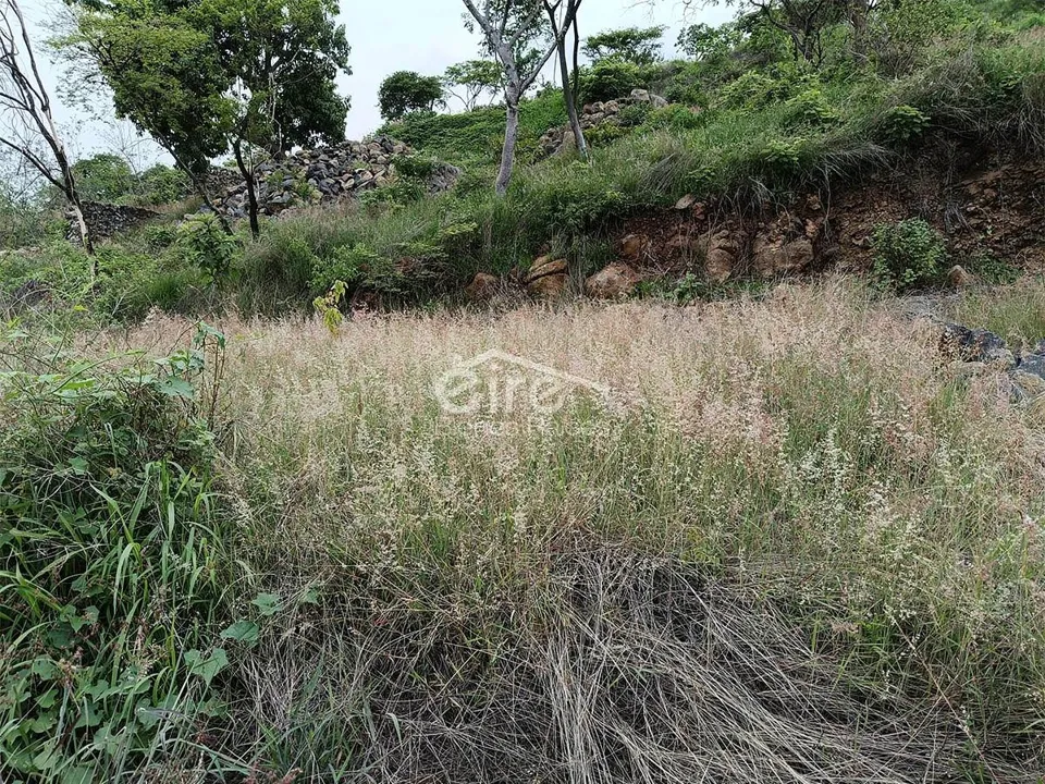 Foto 3 de Terrenos en venta en Santa Cruz de la Loma, Fracc. Montezzano
