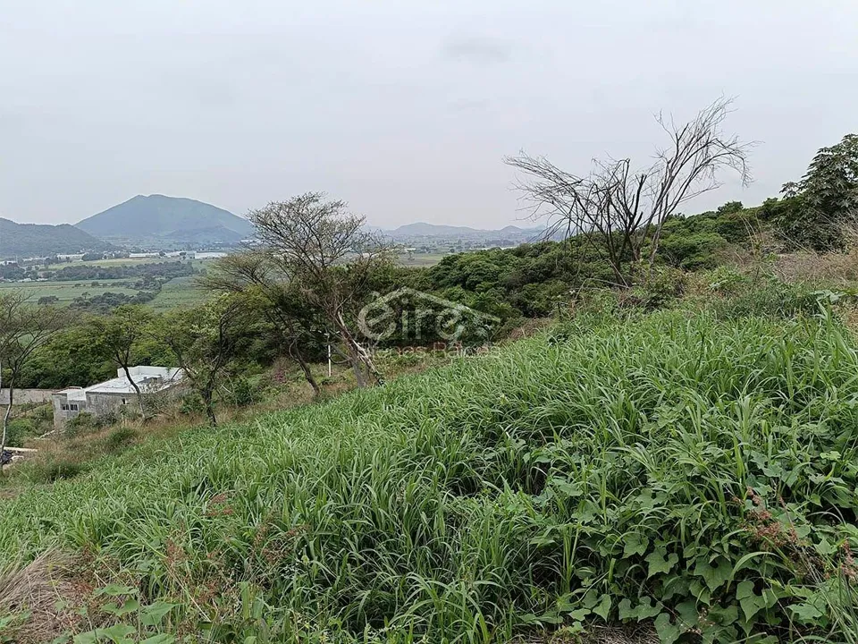 Foto 4 de Terrenos en venta en Santa Cruz de la Loma, Fracc. Montezzano