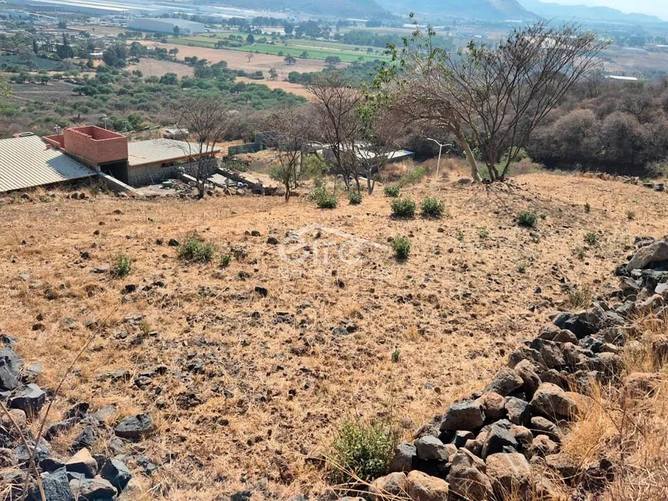 Foto 7 de Terrenos en venta en Santa Cruz de la Loma, Fracc. Montezzano