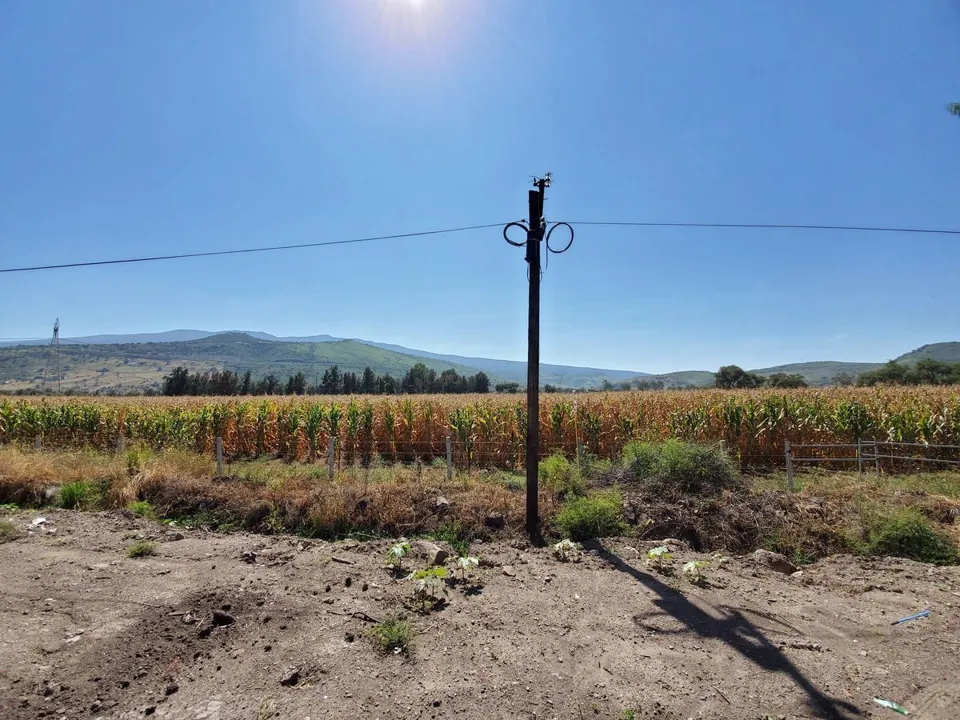 Foto 2 de Terreno en Venta en Tlajomulco, Circuito Metropolitano
