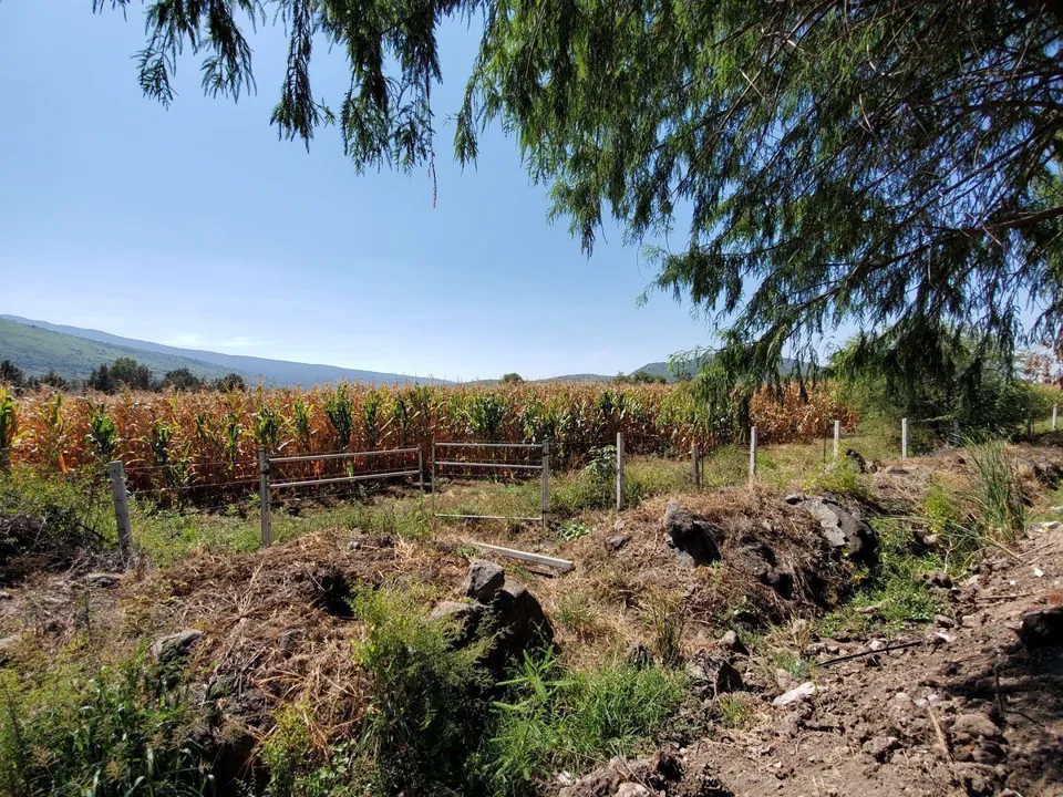 Foto 3 de Terreno en Venta en Tlajomulco, Circuito Metropolitano