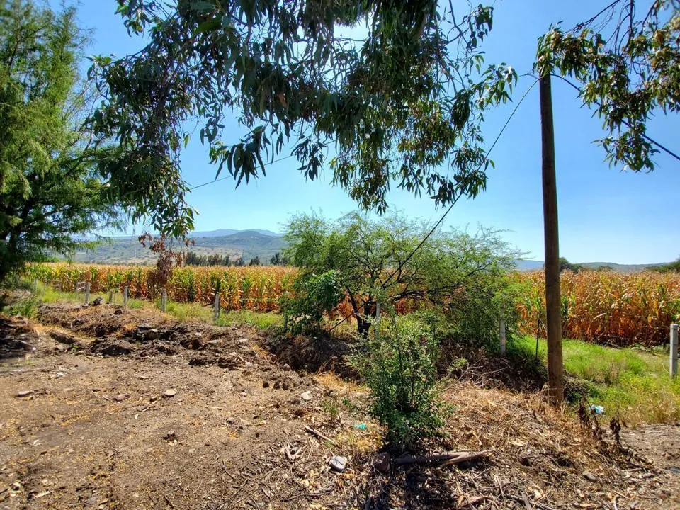 Foto 4 de Terreno en Venta en Tlajomulco, Circuito Metropolitano