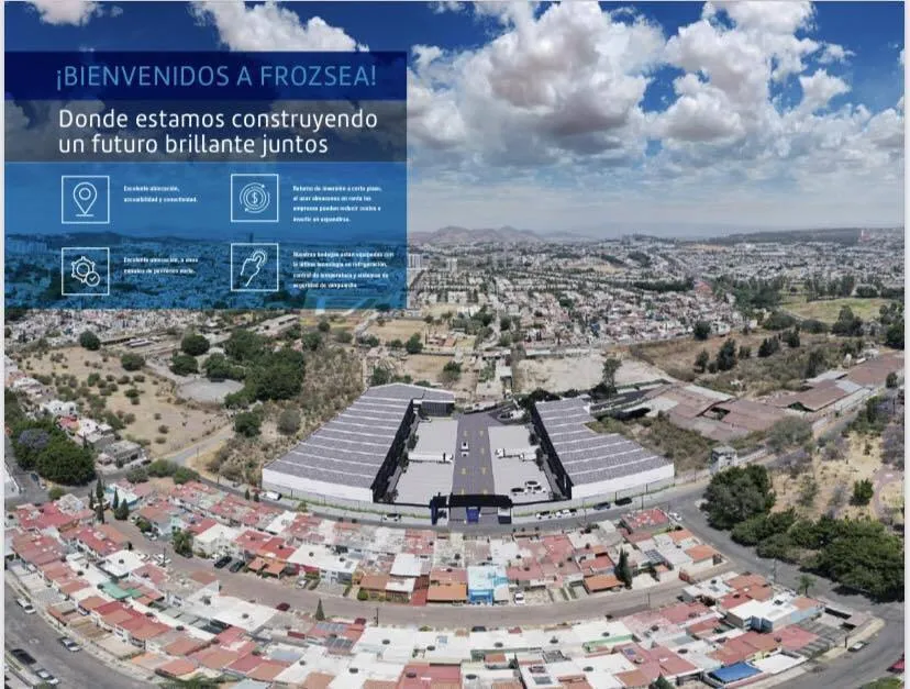 Foto 2 de FROZSEA, bodegas para almacenamiento de congelados u otros productos