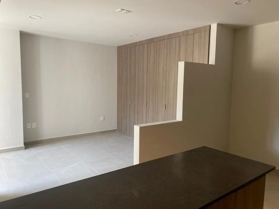 Foto 3 de Departamento en Venta en Lerdo de Tejada