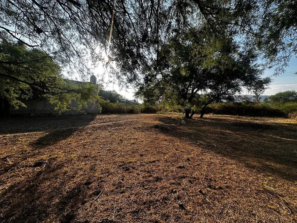 Foto 3 de TERRENO EN VENTA