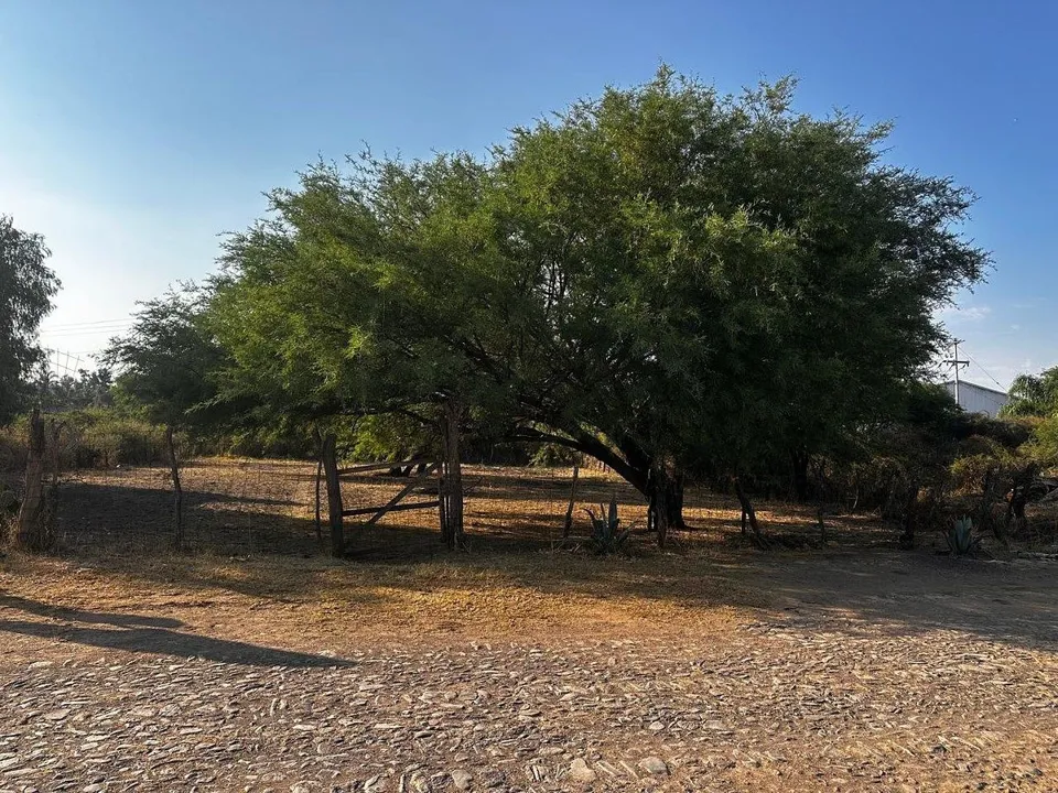 Foto 4 de TERRENO EN VENTA