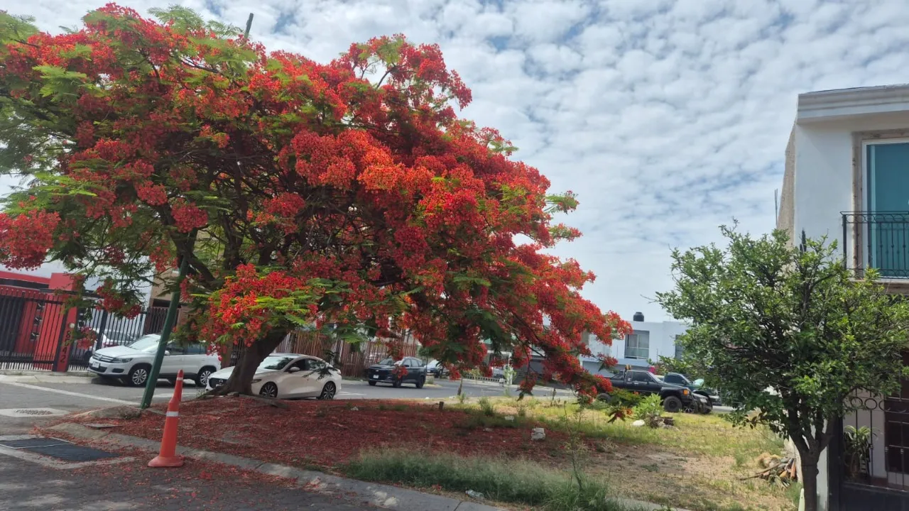 Terreno en venta en Rinconada de Los Naranjos, Real de Valdepeñas, Zapopan