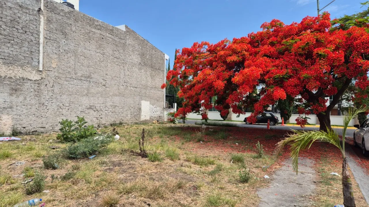 Foto 5 de Terreno en venta en Rinconada de Los Naranjos, Real de Valdepeñas, Zapopan