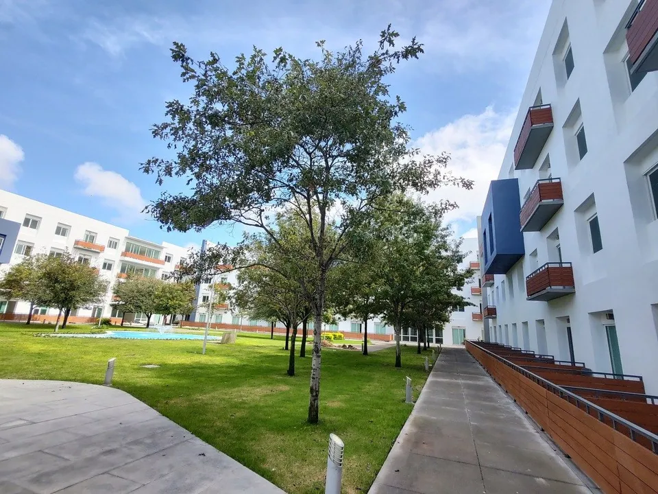 Foto 7 de Departamento amueblado en renta - servicios incluidos
