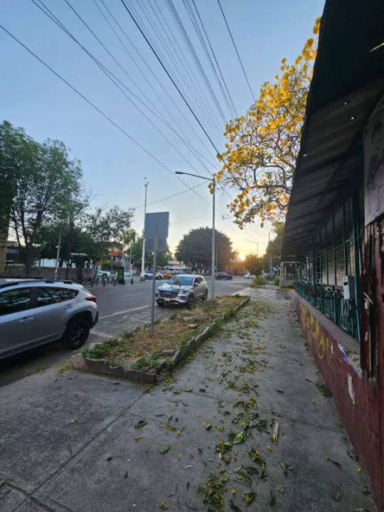 Foto 8 de Local Comercial en venta en Calle Miguel Lerdo De Tejada, Arcos Vallarta, Guadalajara
