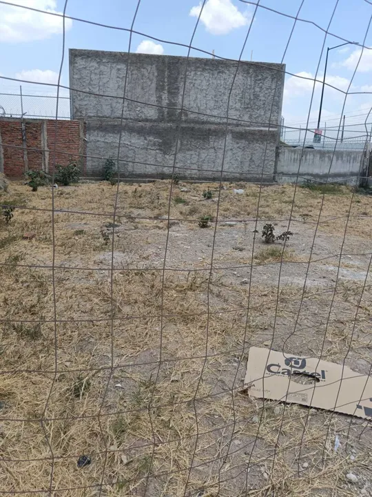 Foto 3 de Terreno en Venta en Bugambilias - El Roble 33