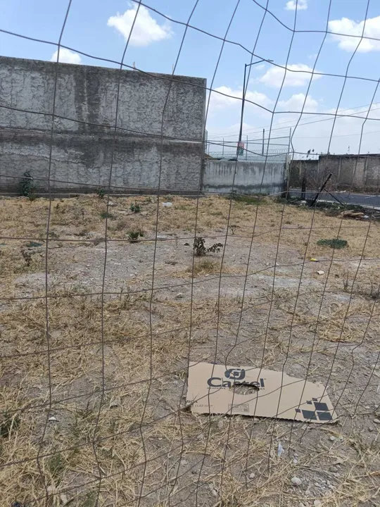 Foto 5 de Terreno en Venta en Bugambilias - El Roble 33