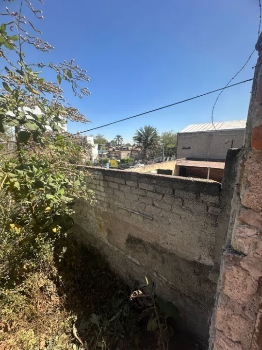 Foto 2 de Local renta av vallarta
