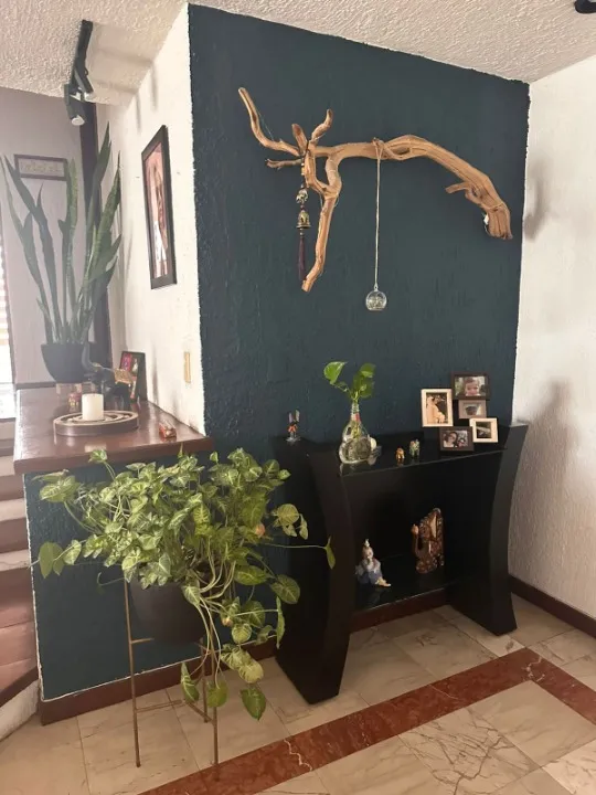 Foto 7 de Departamento en venta en Terranova, Providencia, Guadalajara