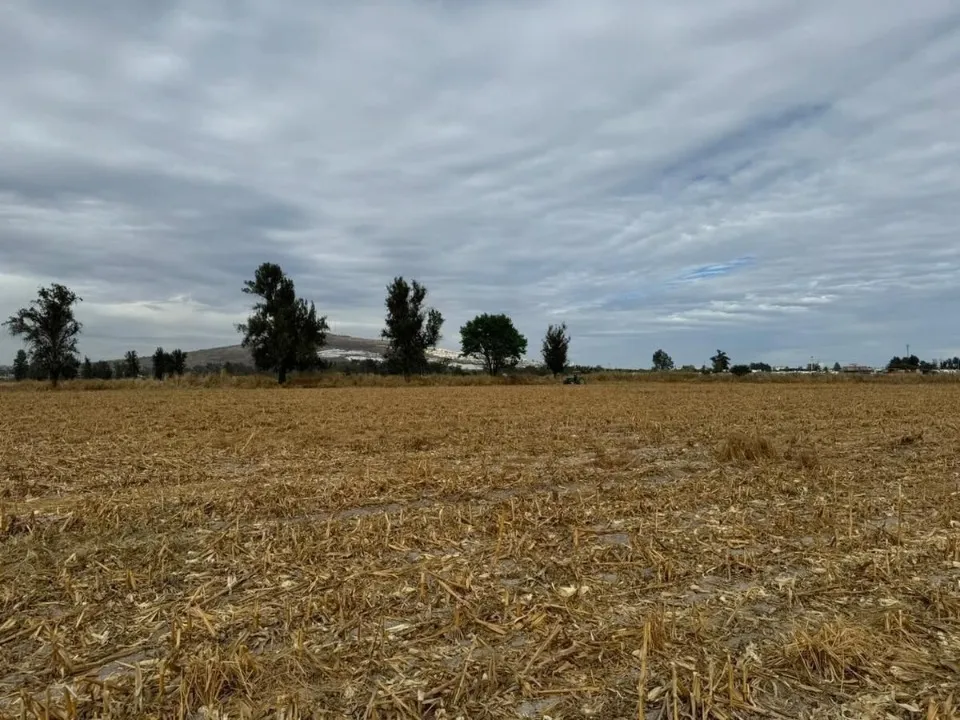 Terreno en venta en Altus Bosques, Altus Bosques, Tlajomulco de Zuñiga