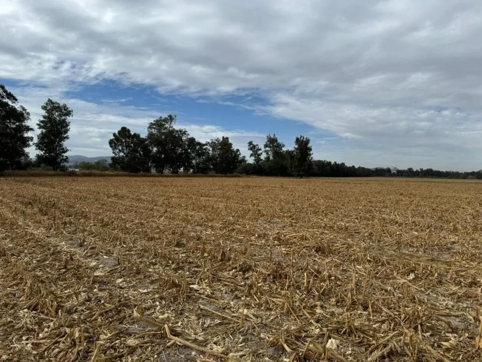 Foto 3 de Terreno en venta en Altus Bosques, Altus Bosques, Tlajomulco de Zuñiga