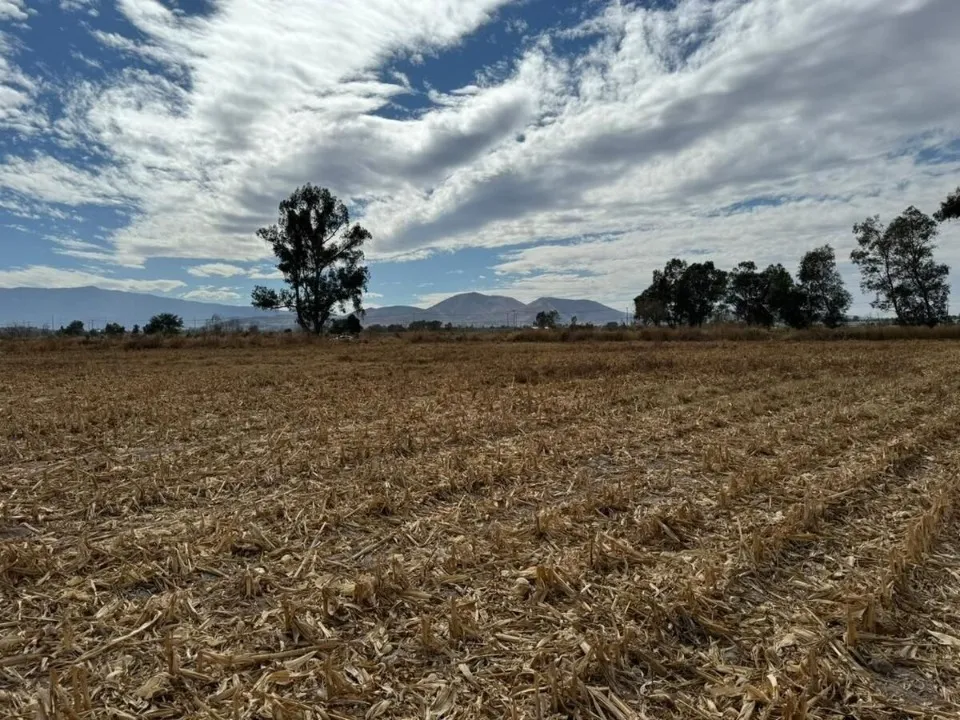 Foto 4 de Terreno en venta en Altus Bosques, Altus Bosques, Tlajomulco de Zuñiga