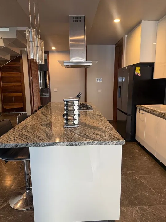 Foto 8 de Casa en Venta en Punto Sur Este - Magallanes 294