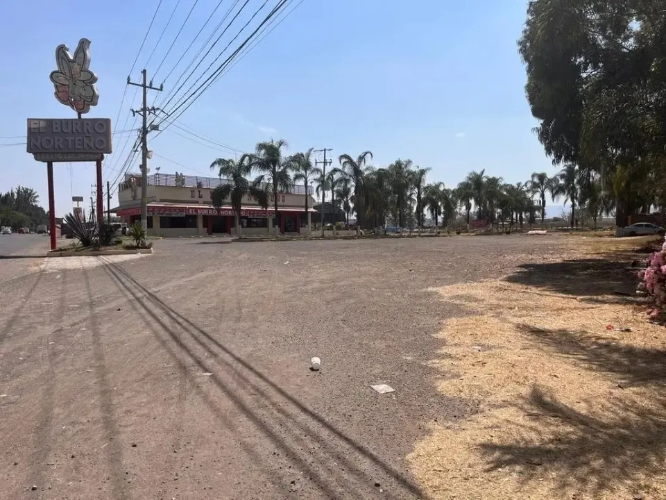 Foto 2 de Terreno Comercial en venta y renta en Zapote , Zapote del Valle, Tlajomulco de Zuñiga