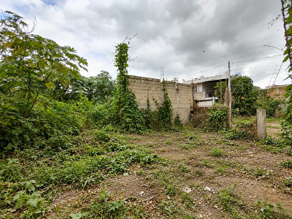 Foto 2 de Terreno en venta - Ejidal - Tesistán, Las Cuchillas