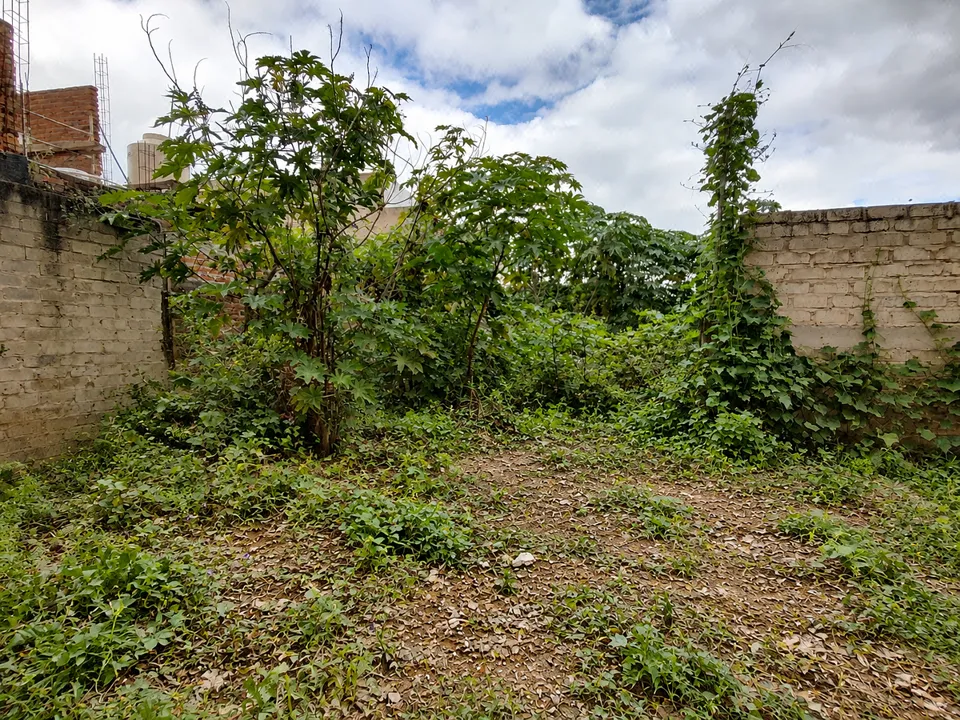 Foto 3 de Terreno en venta - Ejidal - Tesistán, Las Cuchillas