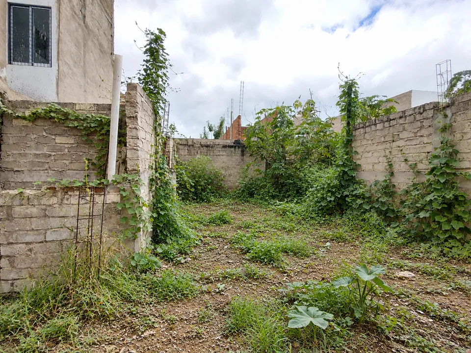Foto 4 de Terreno en venta - Ejidal - Tesistán, Las Cuchillas