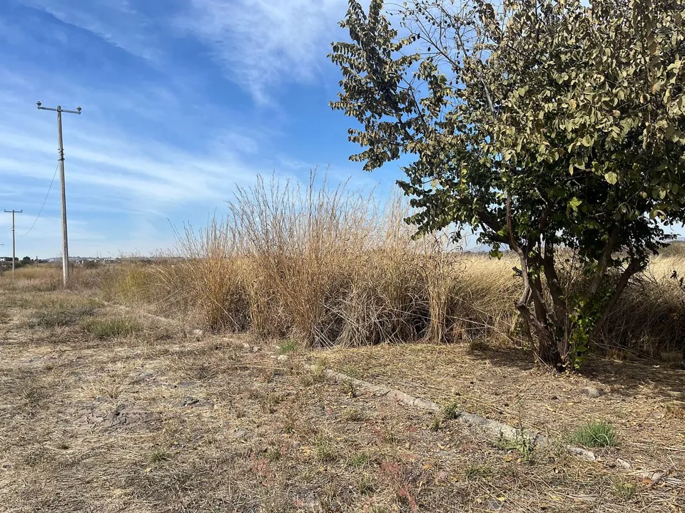 Foto 2 de Terreno en venta en Tonalá