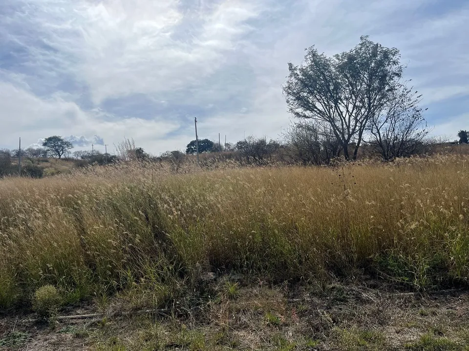 Foto 6 de Terreno en venta en Tonalá
