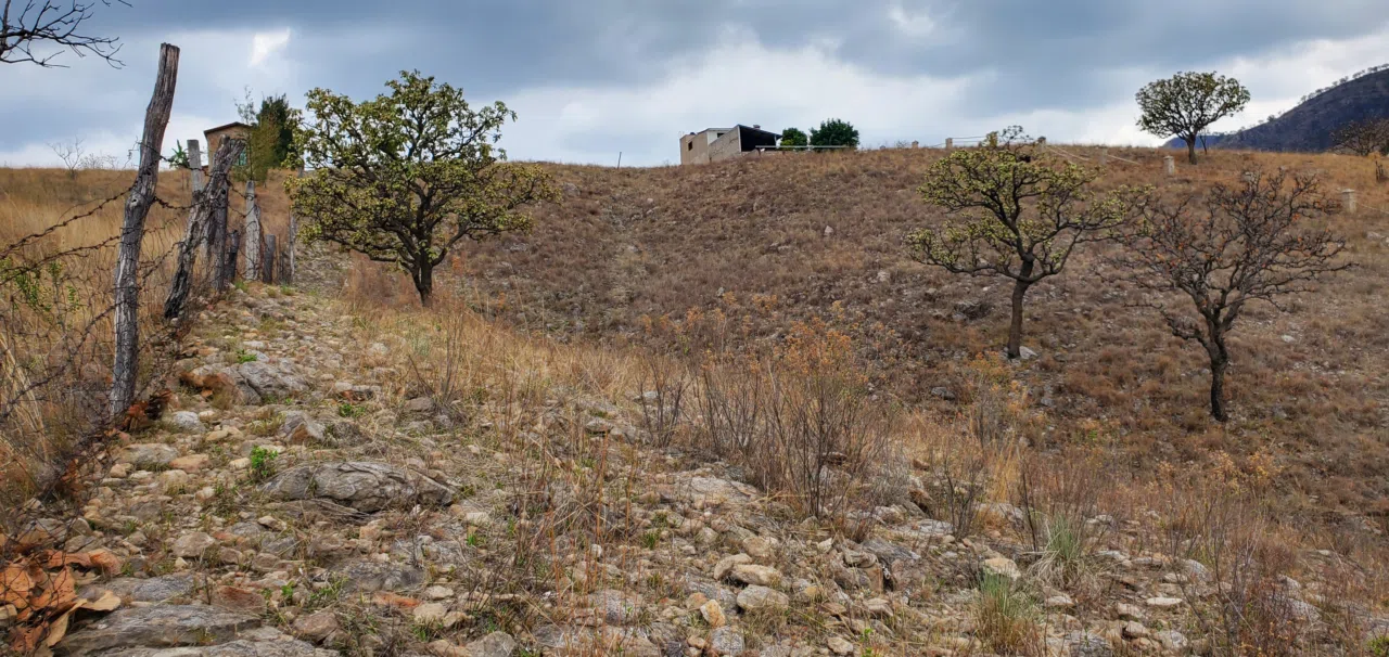 Foto 4 de Terreno (9,554.52 m²) en VENTA  en Montichello, Zapoapn