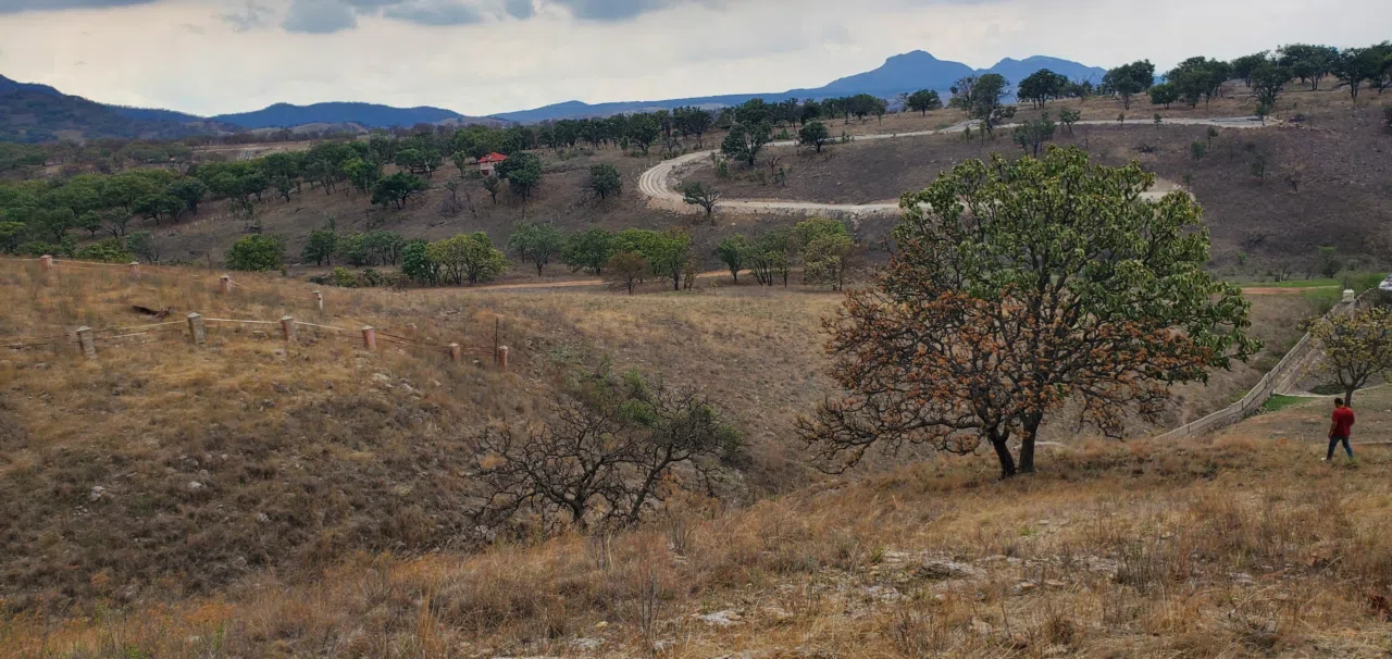 Foto 5 de Terreno (9,554.52 m²) en VENTA  en Montichello, Zapoapn