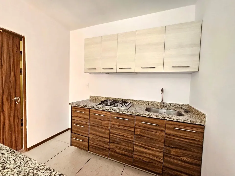 Foto 4 de Departamento en Renta en Alto Horizonte Residencial