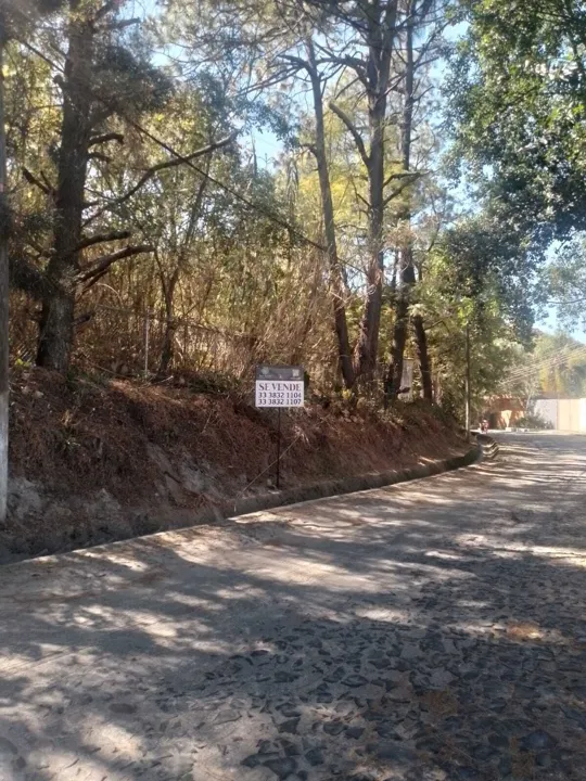 Foto 4 de TERRENO EN VENTA EN FRACC. RESIDENCIAL PINAR DE LA VENTA