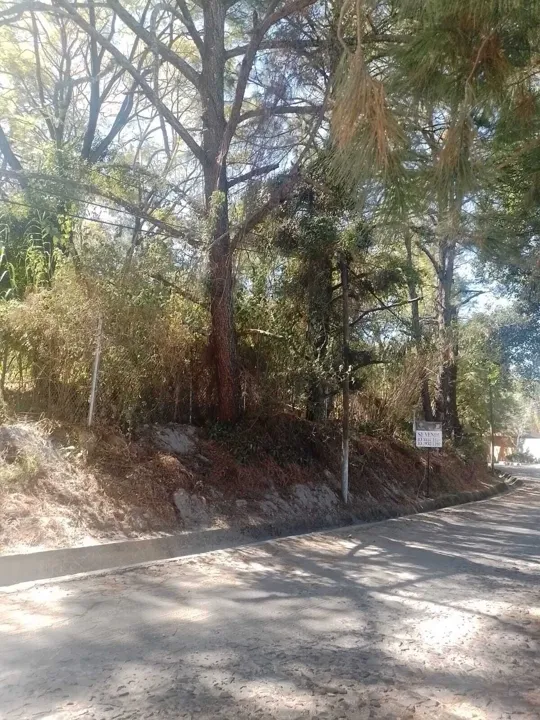 Foto 6 de TERRENO EN VENTA EN FRACC. RESIDENCIAL PINAR DE LA VENTA