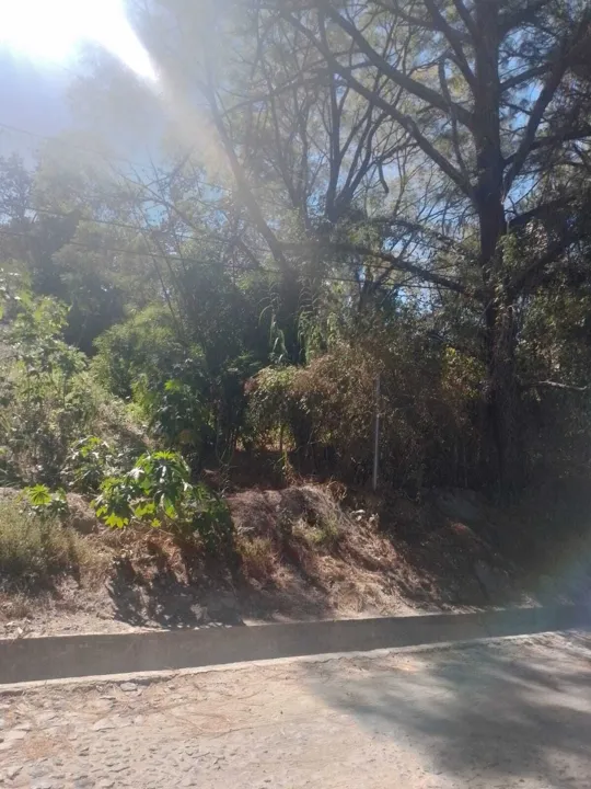 Foto 8 de TERRENO EN VENTA EN FRACC. RESIDENCIAL PINAR DE LA VENTA