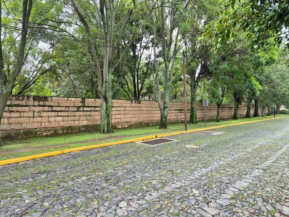Foto 3 de Terreno en venta en Hacienda San Acacio