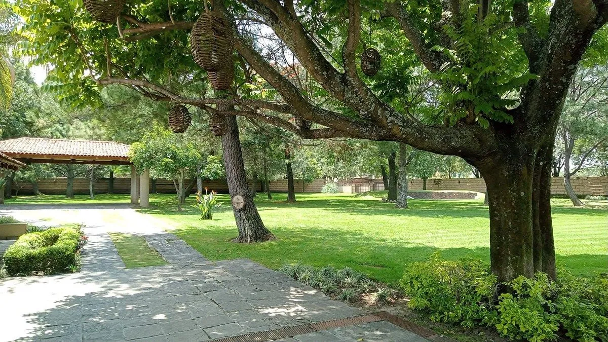 Foto 7 de Terreno en venta en Hacienda San Acacio