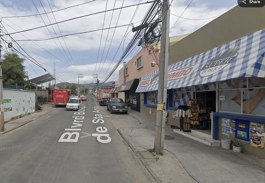 Foto 6 de Terreno comercial en venta - Bosques de Santa Anita, Tlajomulco de Zuñiga