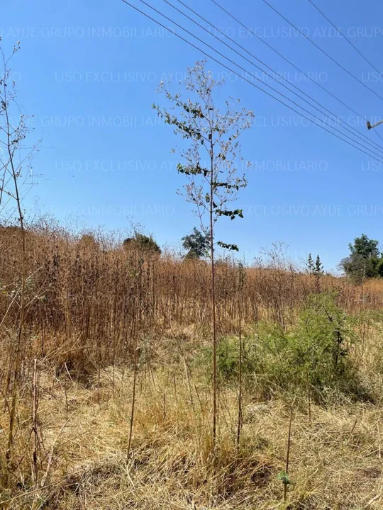 TERRENO LOS SAUCES, TLAJOMULCO