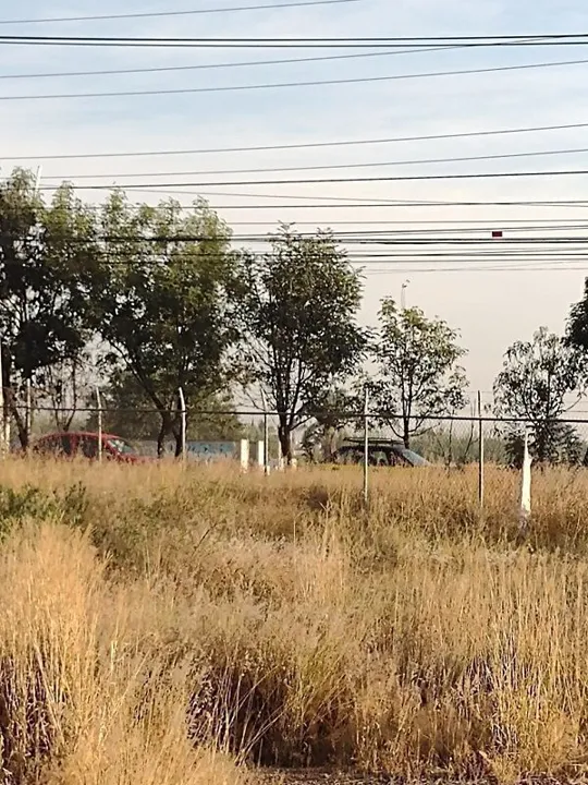 Foto 6 de Terreno en Venta con uso de suelo mixto, en Av. Adolf Horn, Tlajomulco de Zúñiga