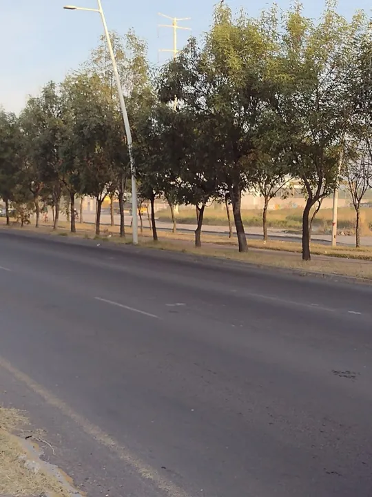 Foto 8 de Terreno en Venta con uso de suelo mixto, en Av. Adolf Horn, Tlajomulco de Zúñiga